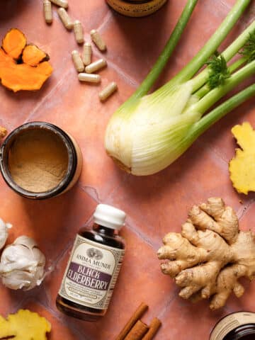 Flat lay of immune-supporting herbs and spices on a warm terracotta surface, featuring fresh fennel bulb, ginger root, turmeric, garlic cloves, cinnamon sticks, herbal powder, supplement capsules, and a bottle of Anima Mundi Black Elderberry extract, styled for a natural wellness and plant-based health concept.