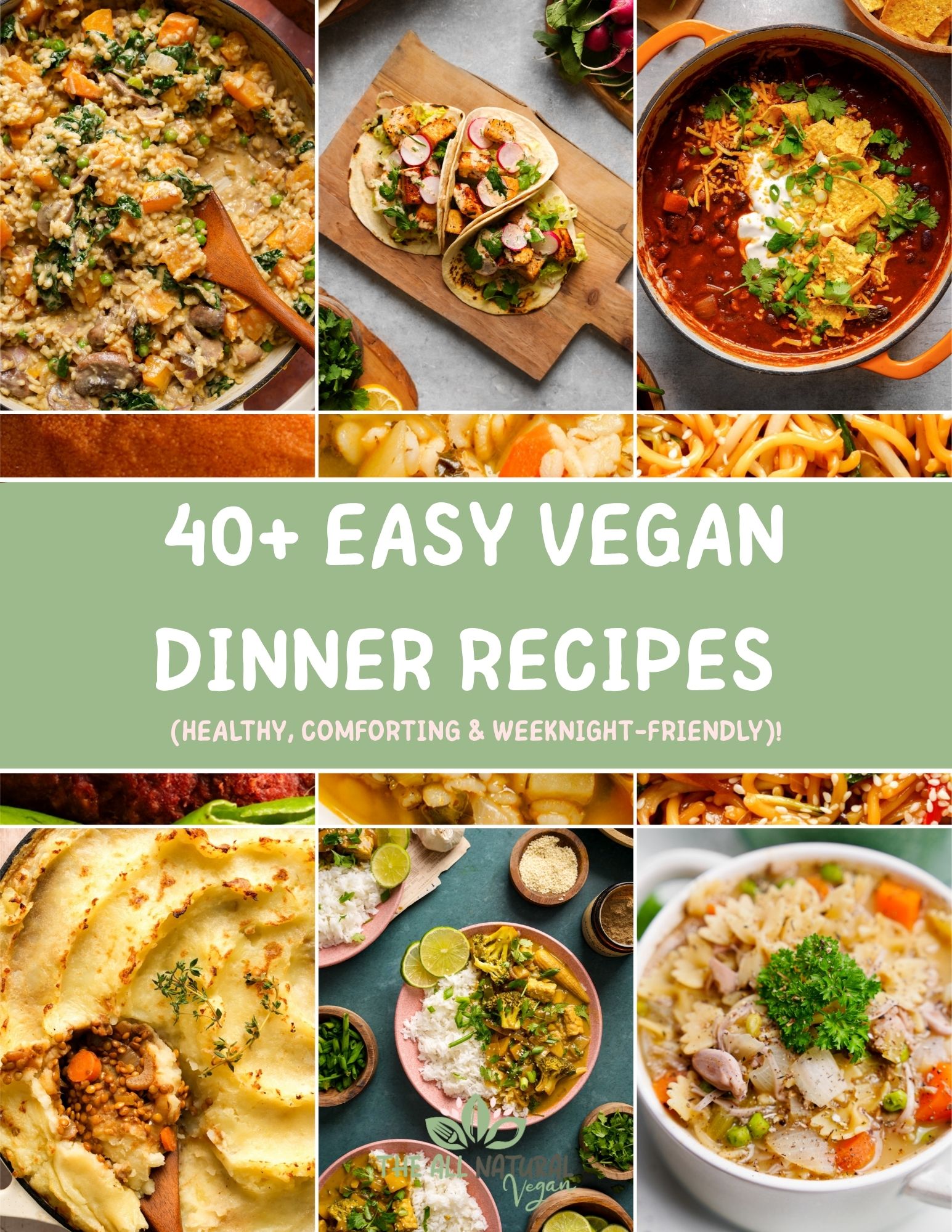 Collage of easy vegan dinner recipes including creamy risotto, tofu tacos, vegan chili, lentil shepherd's pie, curry with rice, and vegetable soup with the title